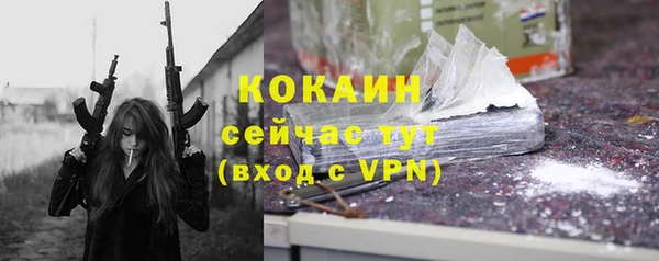 альфа пвп Няндома