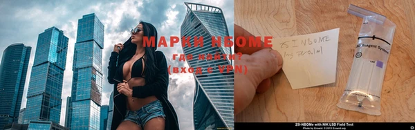 сатива Нязепетровск