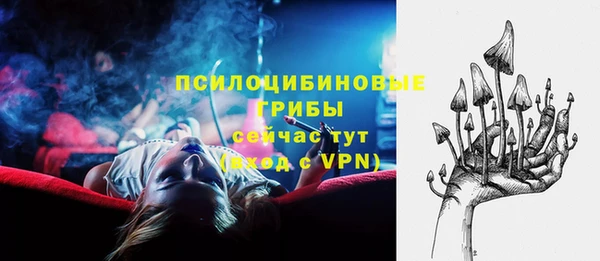 альфа пвп Няндома
