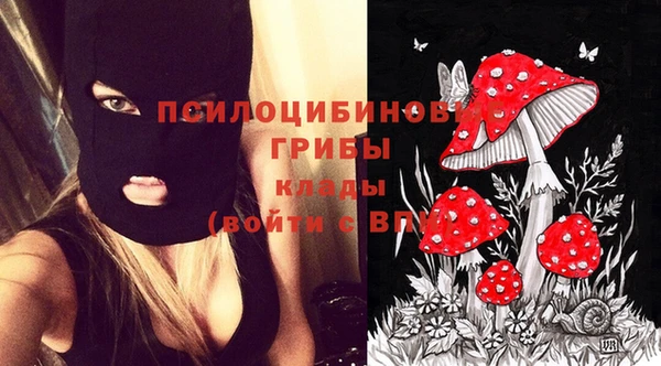 сатива Нязепетровск