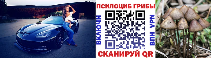 Псилоцибиновые грибы GOLDEN TEACHER  Среднеколымск 